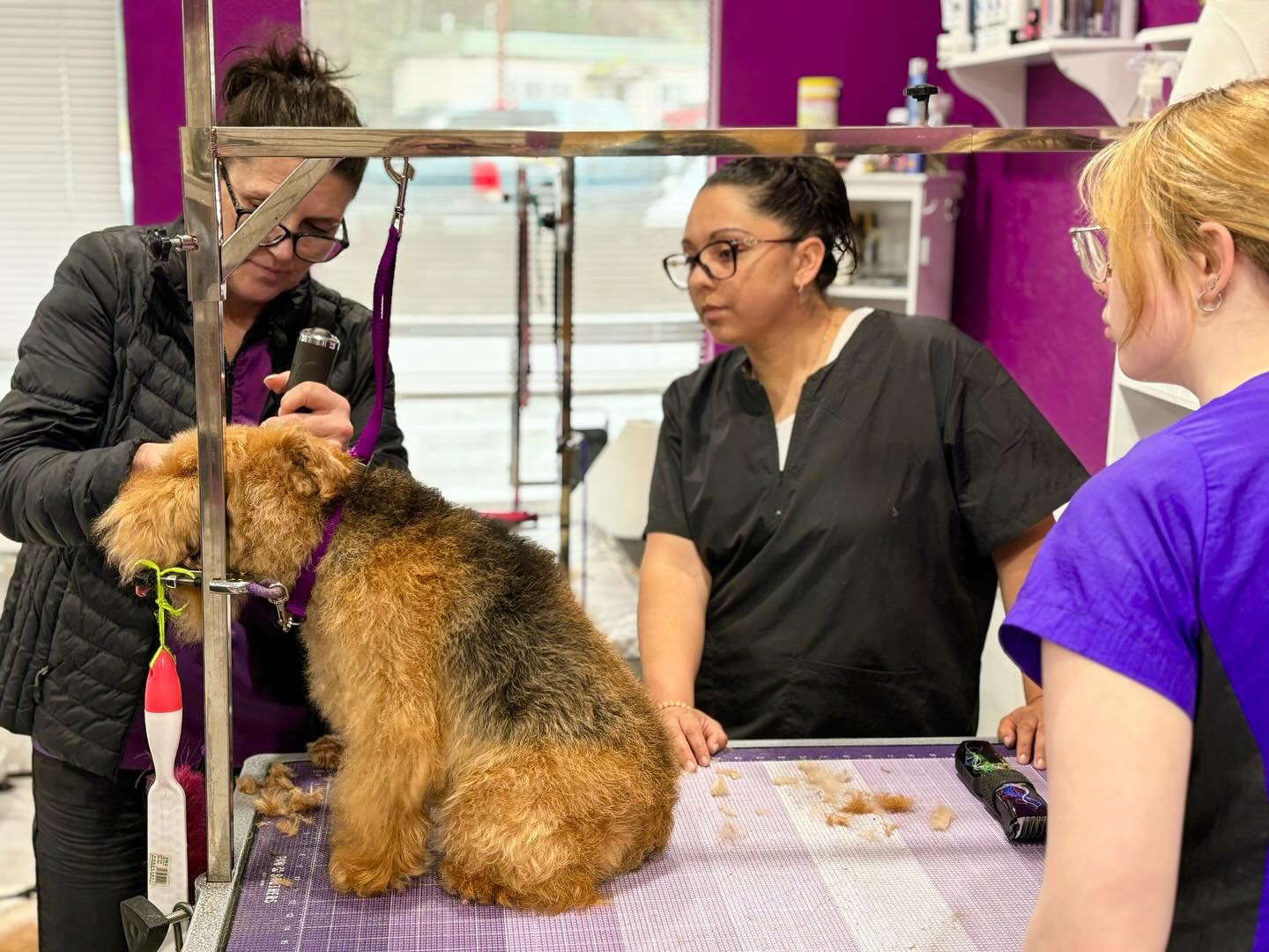 470242569_18018430739638216_7313129356586799909_n