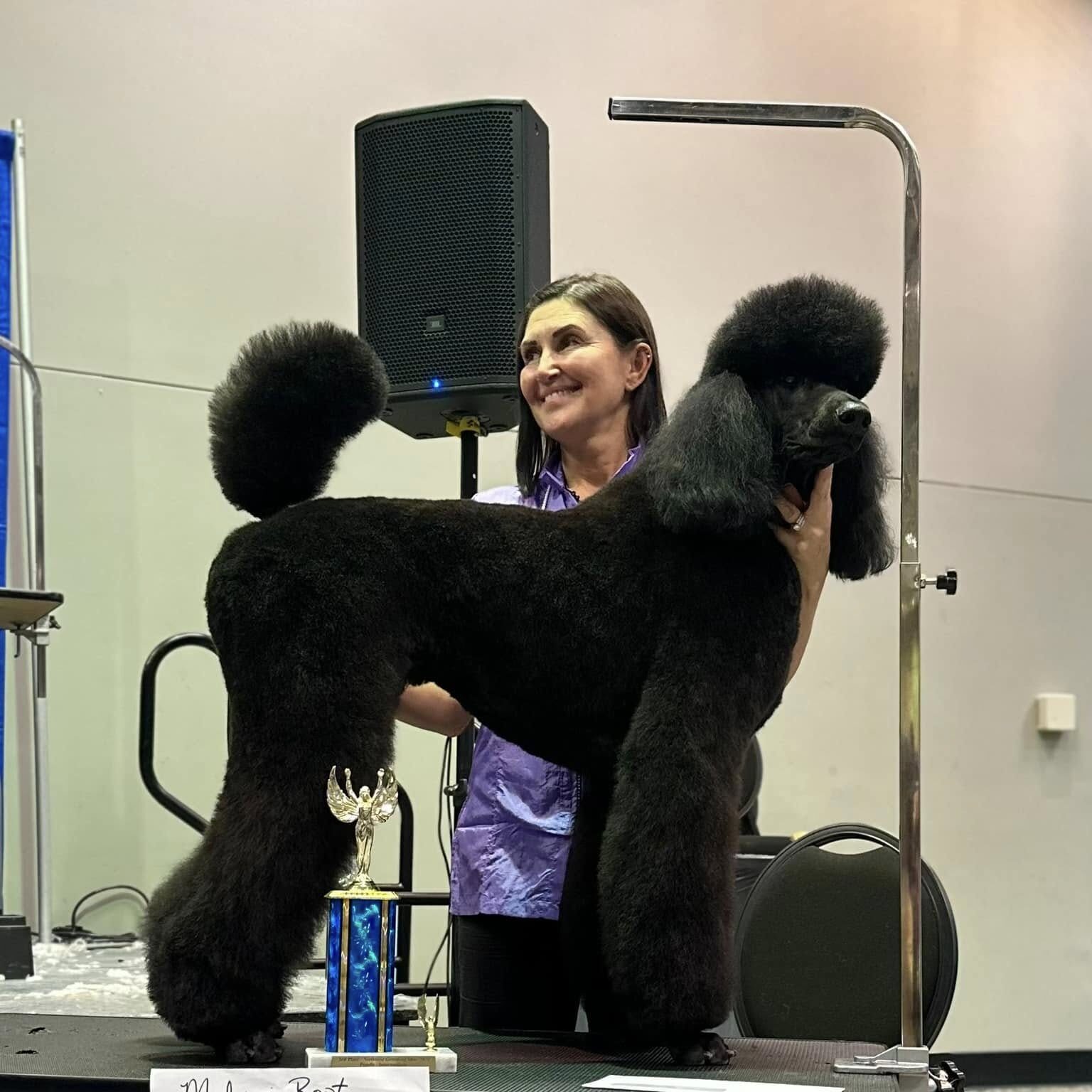 481478544_938826115132418_1811317384019035358_n